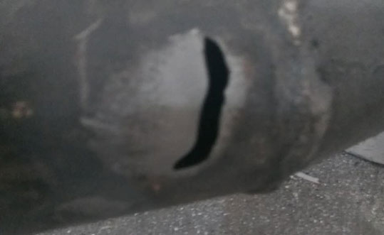 普通花季传媒下载安装